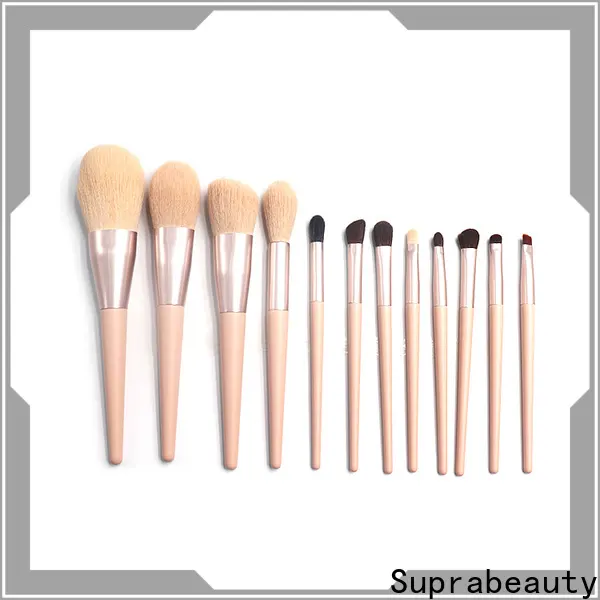 Suprabeauty best brush kit series for beauty 1