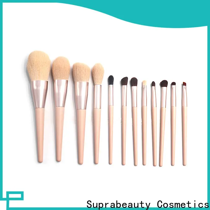 Suprabeauty beauty brushes set with good price for women 1