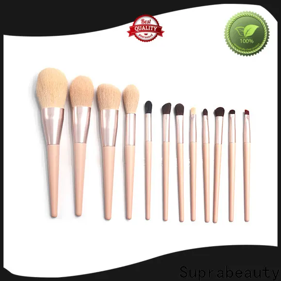 High-quality eye makeup brush kit manufacturers for beauty 1