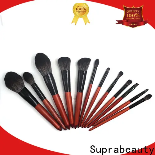 New best face brush set manufacturers for beauty 1