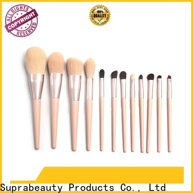 Suprabeauty eye makeup brush set manufacturers for women 1