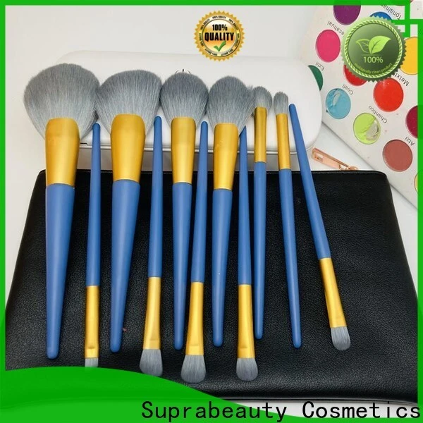 Fábrica al por mayor del sistema de cepillo del maquillaje para la tienda al por menor cosmética 1