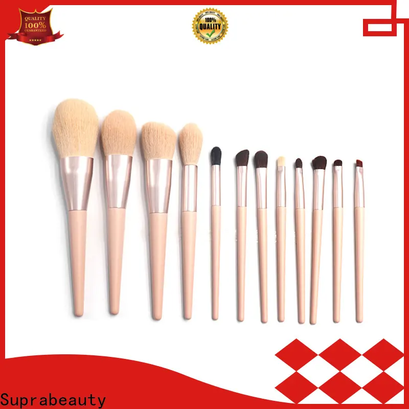 Suprabeauty Hochwertige, beste Augenpinsel-Set-Lieferanten für Make-up 1