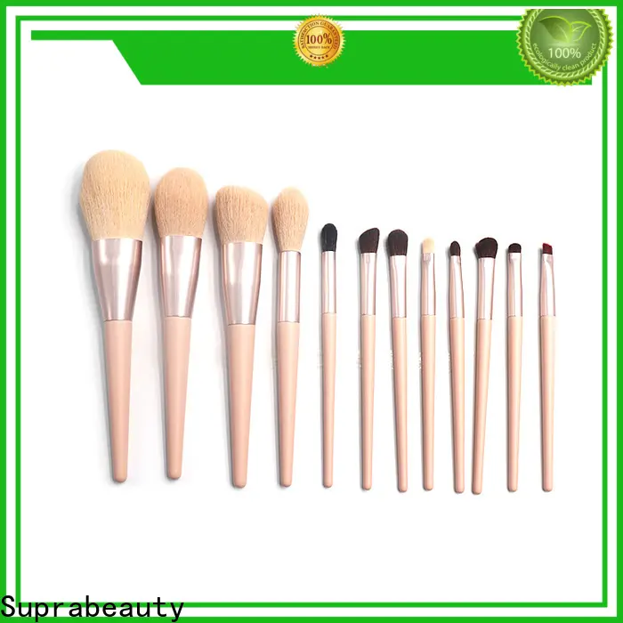 Latest professional brush set for business for cosmetic retail store 1