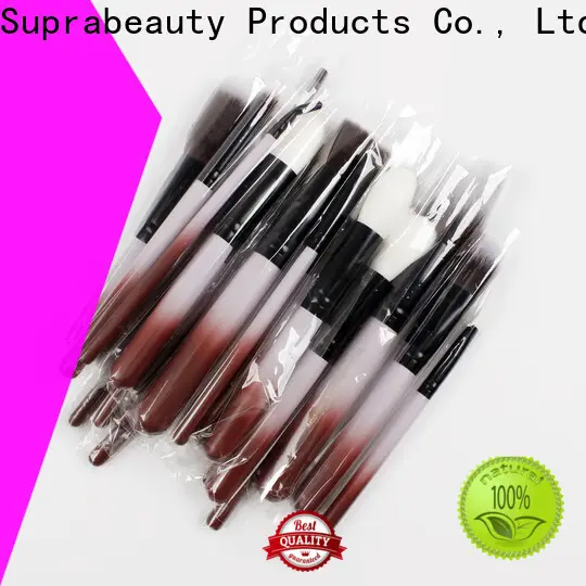 Wholesale best affordable brush sets Suppliers for beauty 1