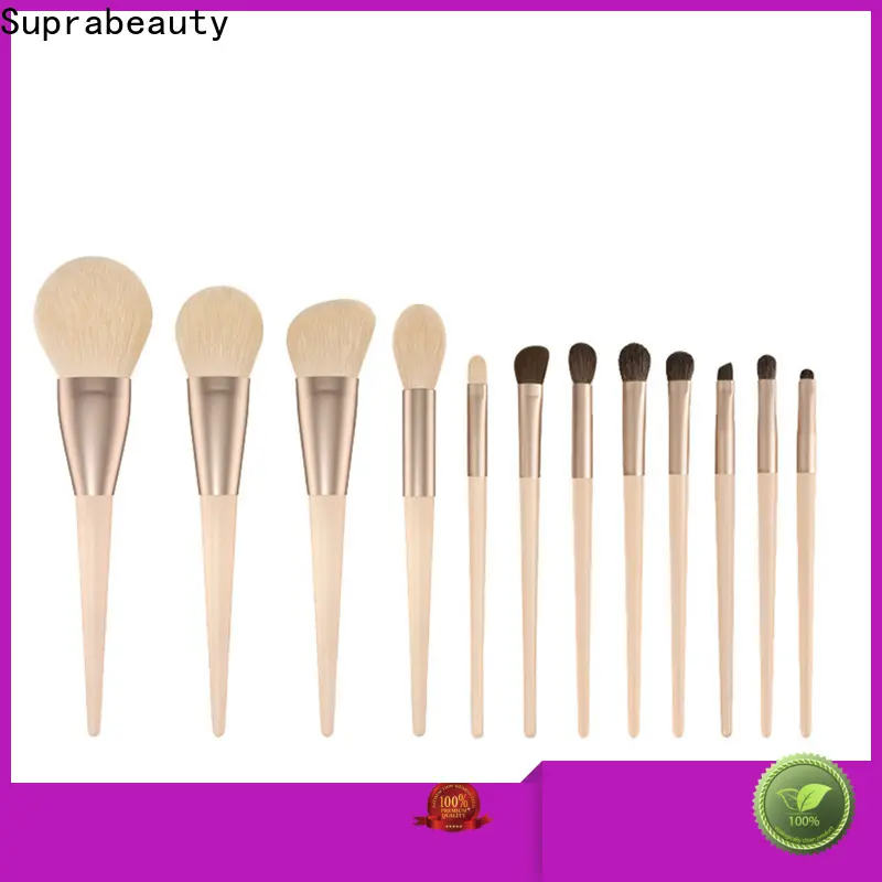 Custom eyeshadow makeup brush set Suppliers for cosmetic retail store 1
