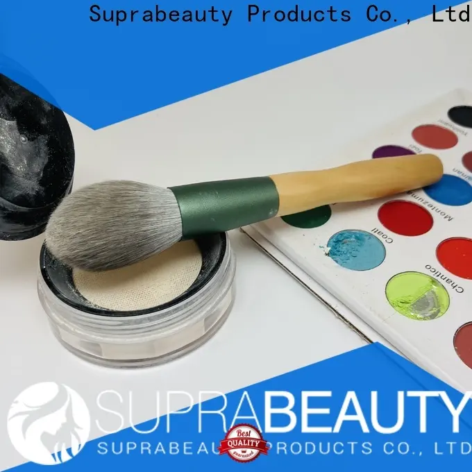 Meilleurs pinceaux de maquillage pour femmes d'affaires pour la beauté 1