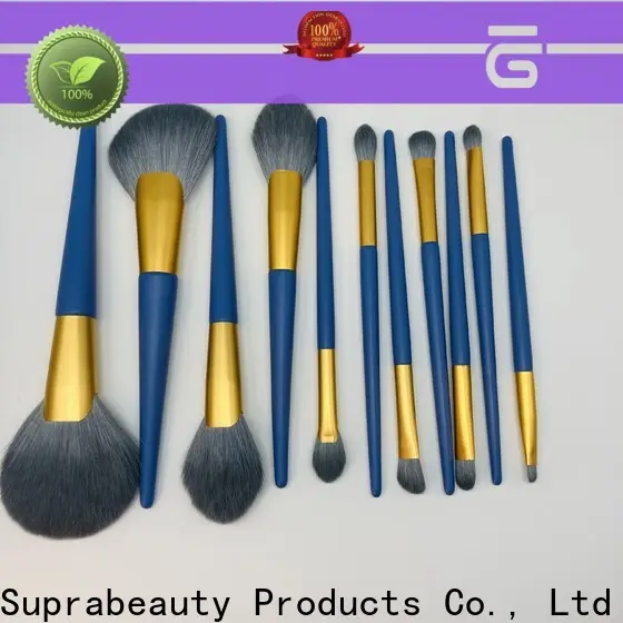 Suprabeauty best make up brush kit company for beauty 1