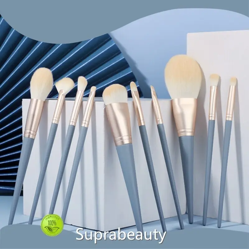 Makeup Brush Kit Online SPB3065 10pcs Travel Makeup Brush Set - - Suprabeauty 1