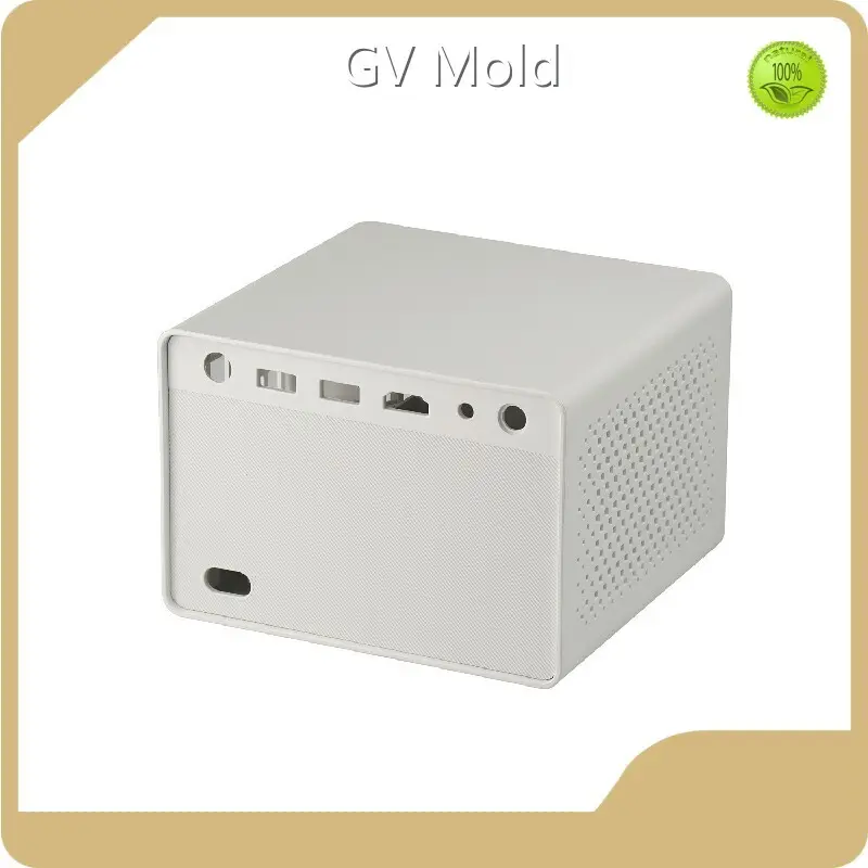 Custom Plastic Injection Molding by GV Mold Manufacturer 1