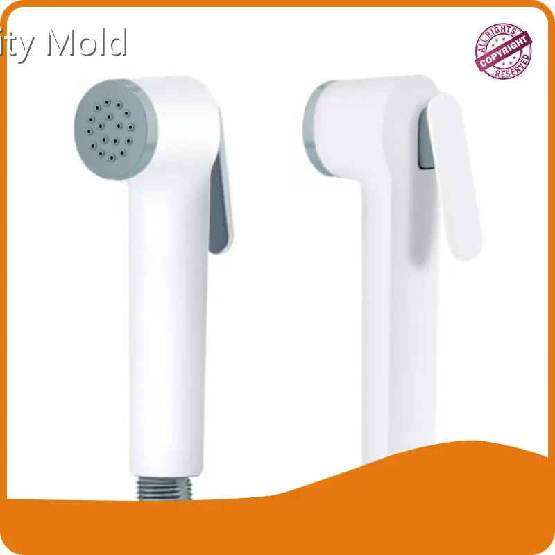 GV Mold Custom Plastic Injection Molding ABSmakers 1