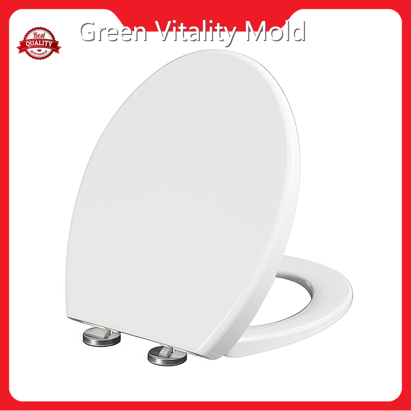 Custom Injection Molding Service for GV MOLD Companies 1