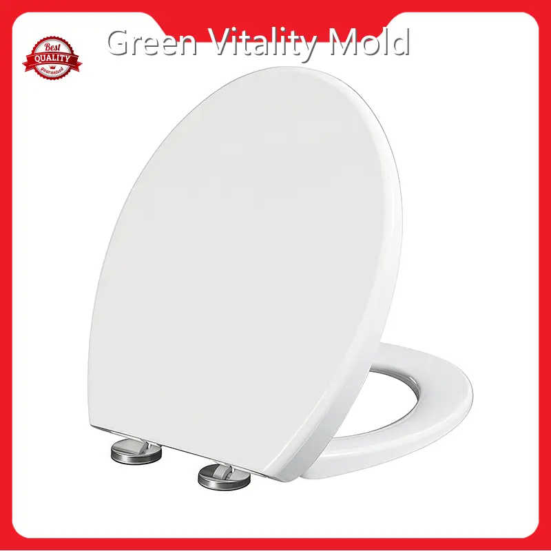 Custom Injection Molding Service for GV MOLD Companies 1