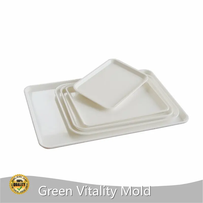 Plastic Injection Molding Service Makers 1