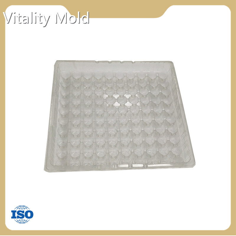 Abs Injection Molding - - GV Mold 1