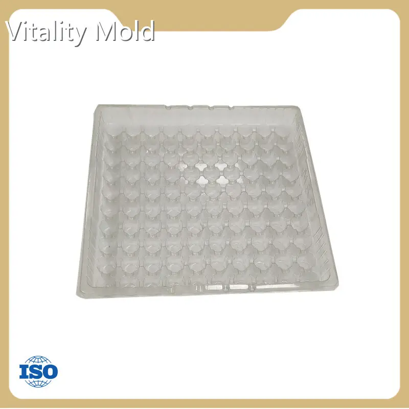 Abs Injection Molding - - GV Mold 1