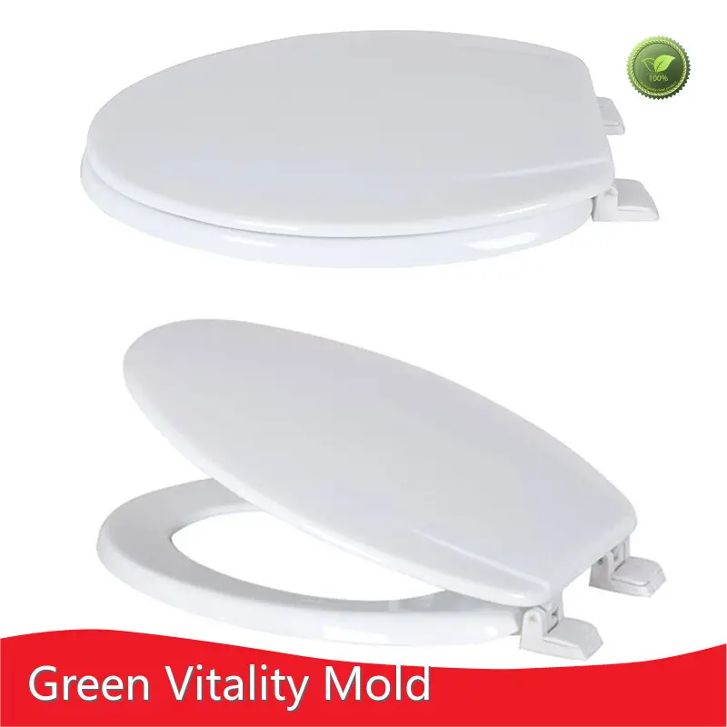 Plastic Moulding Companies Wholesale - GV Mold 1