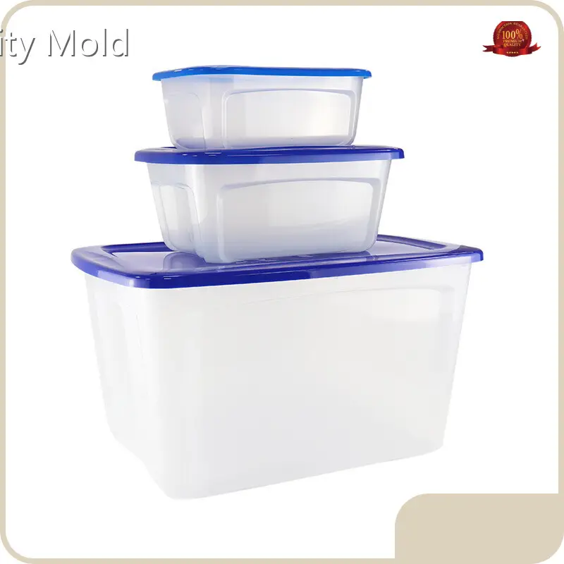 GV Mold Plastic Injection Moulding Service Plastic Injection Moulding Servicewholesaler 1