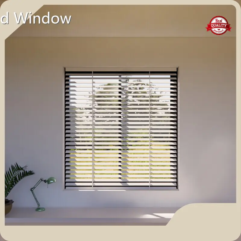 Fábrica confiable de ventanas abatibles abatibles 1