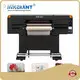 Uv Dtf Sticker Printer - - INKGIANT 1
