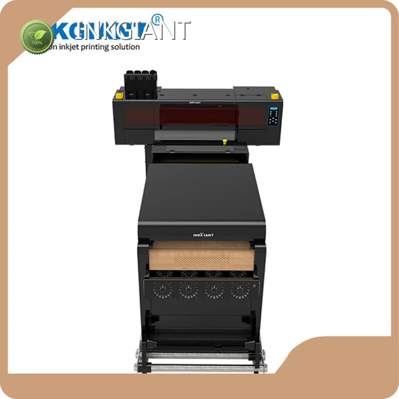 Professional Best Dtf Printer 1