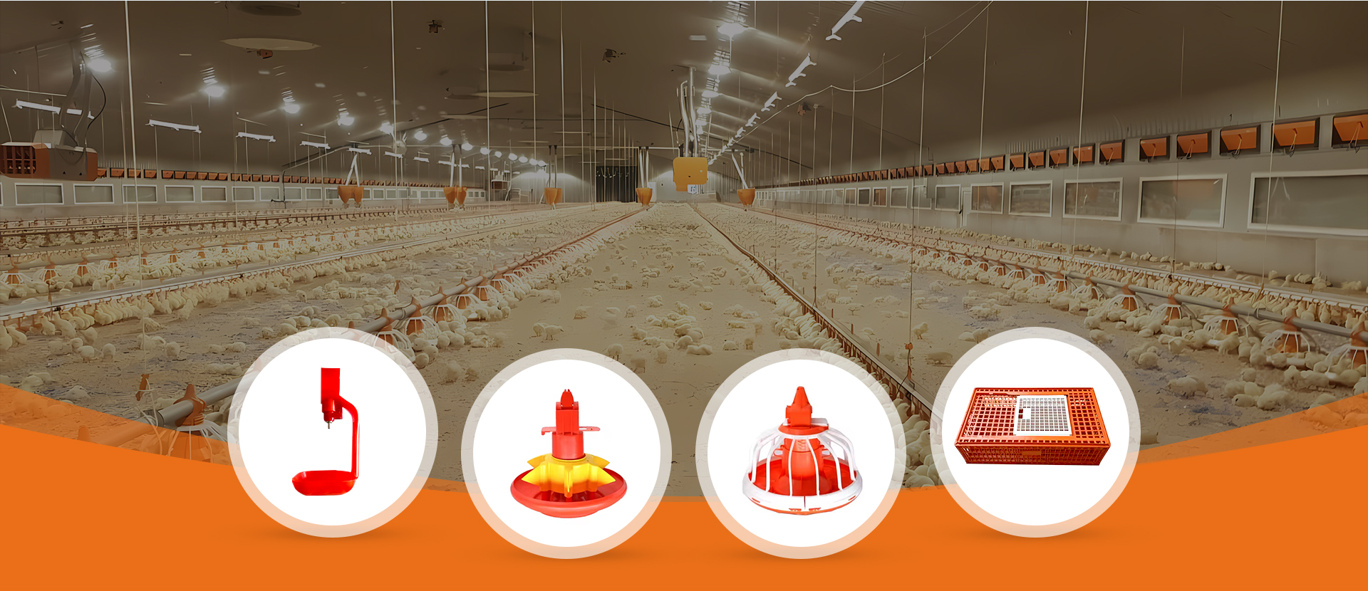 Professional Manufacturer of Automatic Poultry Farming Equipment since 2008