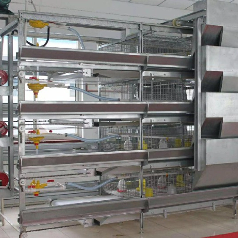 H type layer cage enriched cages for laying hens battery cage system 4 tiers 1