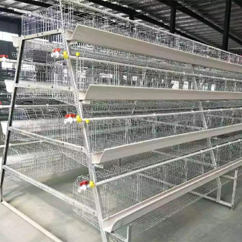 A type layer cage enriched cages for laying hens battery cage system 3 tiers 4 tiers 1