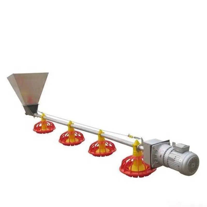broiler chicken farming equipment 1