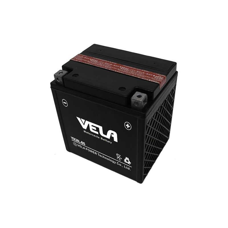 YIX30-BS 12V 30Ah ATV battery manufactures 1