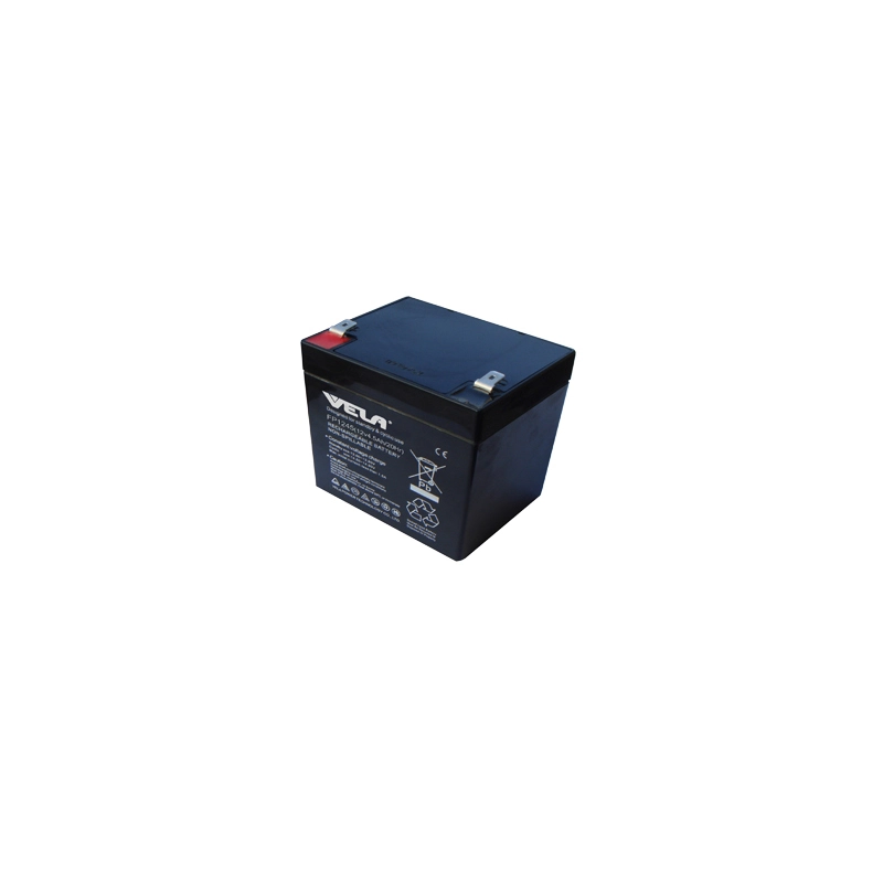 FP1245 12V 4.5Ah Jump Starter VRLA Battery 1