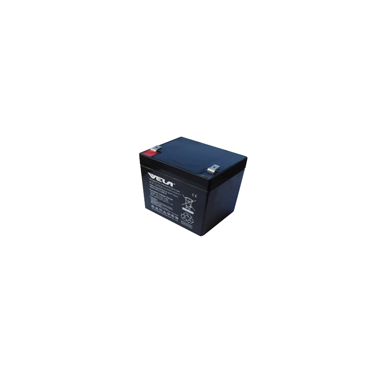 FP1250 12V 5Ah VRLA Battery for Alarm Systems 1