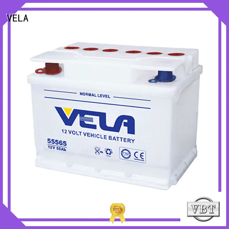 best auto battery optimal for car VELA 1