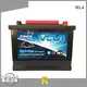 agm car battery satisfying for vehicle 1