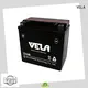VELA dry cell motorcycle battery satisfying for motorcycle industry 1