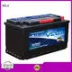 VELA durable vehicle battery needed for car 1