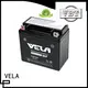 VELA maintenance free wet charged battery optimal for autocycle 1