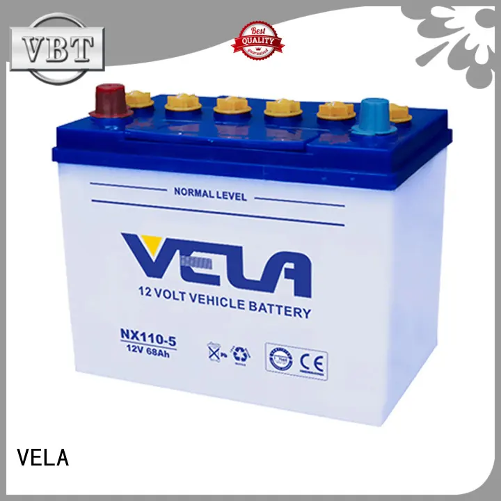 long storage time automotive battery manufacturers car 1