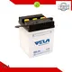 VELA dry cell battery motorbikes 1