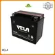 VELA dry charged battery satisfying for motorcycle industry 1