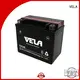 VELA dry battery motorcycle industry 1