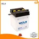 VELA professional dry charged battery widely employed for motorcycle industry 1