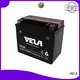 maintenance free motorcycle battery optimal for motorcyles 1