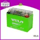 VELA gel cell motorcycle battery perfect for autocycle 1
