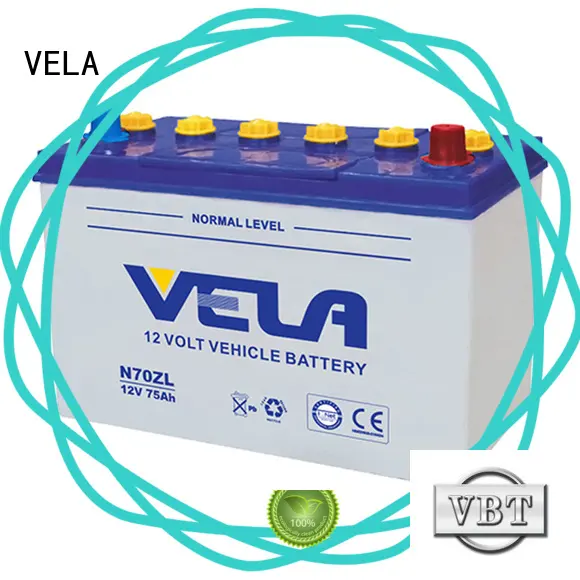 professional car battery brands perfect for automobile 1