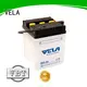 VELA dry charged battery widely employed for motorcycle industry 1