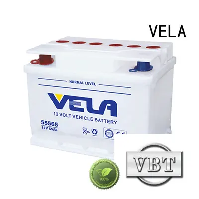 professional dry cell car battery automobile 1