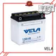 VELA long torage time dry charged battery excellent for 1