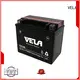 VELA reliable 12v 6ah motorcycle battery perfect for motorcycle industry 1
