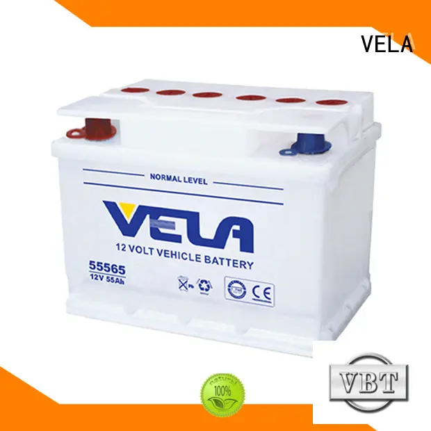 VELA long storage time car dry cell battery optimal for vehicle 1